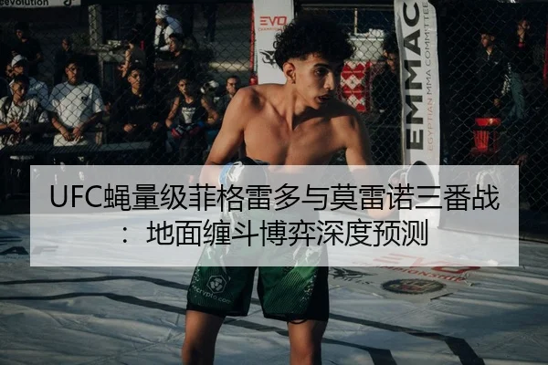ying-liang-ji-fei-ge-lei-duo-yu-mo-lei-nuo-san-fan-zhan-di-mian-chan-dou-bo-yi-shen-du-yu-ce-2-146.jpg