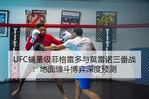 ying-liang-ji-fei-ge-lei-duo-yu-mo-lei-nuo-san-fan-zhan-di-mian-chan-dou-bo-yi-shen-du-yu-ce-3-645.jpg
