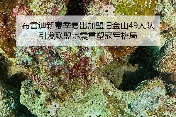 布雷迪新赛季复出加盟旧金山49人队 引发联盟地震重塑冠军格局
