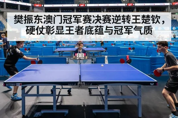 樊振东澳门冠军赛决赛逆转王楚钦，硬仗彰显王者底蕴与冠军气质