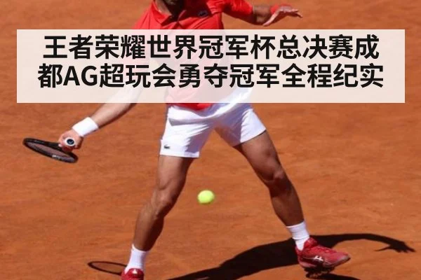 王者荣耀世界冠军杯总决赛成都AG超玩会勇夺冠军全程纪实
